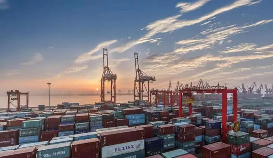 Serviço chinês das operações de desalfandegamento do porto de Ningbo para o agente da importação da exportação de LCL