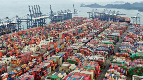 Serviço da declaração alfandegária de China das operações de desalfandegamento de China do porto de Xiamen