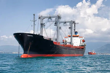 NVOCC que armazenam e logística do transporte no porto de Shanghai