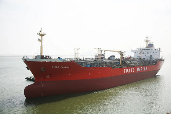 Transporte internacional do mar da carga da importação global da exportação do remetente de China