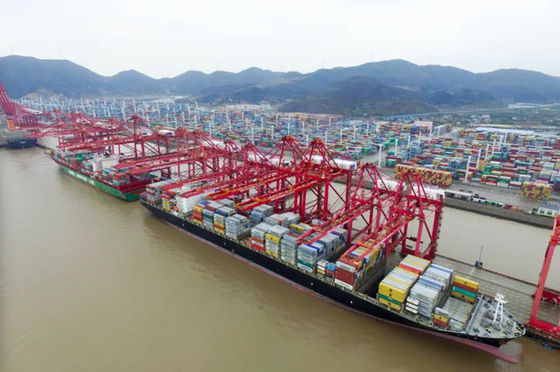 Bom preço Remetente de frete internacional China do oceano a Austrália on-line