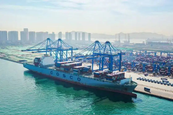 Bom preço Remetente de frete internacional do oceano do remetente de frete do oceano de Qingdao de China ao Reino Unido on-line