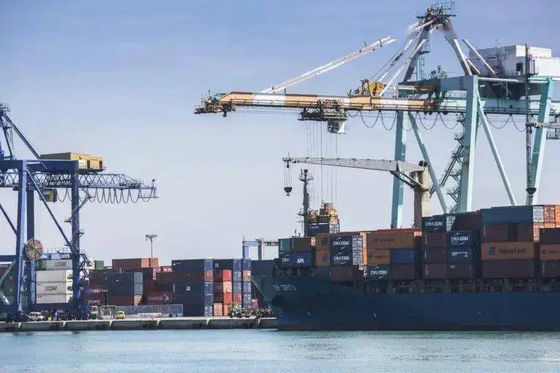 Bom preço China ao remetente de frete internacional do mar do transporte do oceano de Malásia on-line