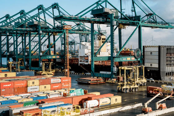 qualidade Frete de oceano Shanghai do general carga LCL de EXW a Riyadh fábrica