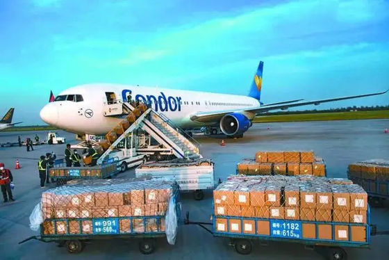 qualidade Remetente de frete China do ar da carga do DG aos EUA o dia inteiro fábrica