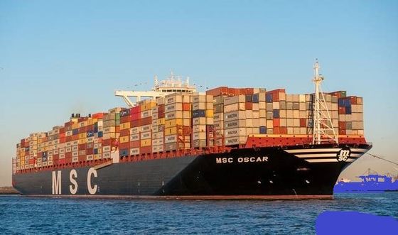 O frete de mar seguro de LCL, transporte internacional do frete avalia Shanghai - New York Miami